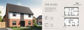 The Hazel plan