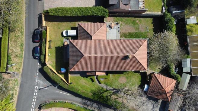 Birds eye