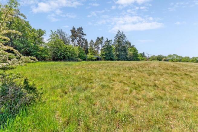 Meadow