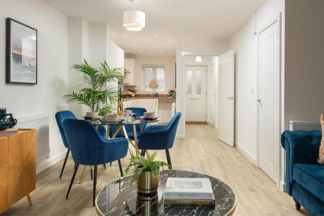 Representative Images