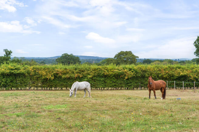 1336883-18-68a5c2...