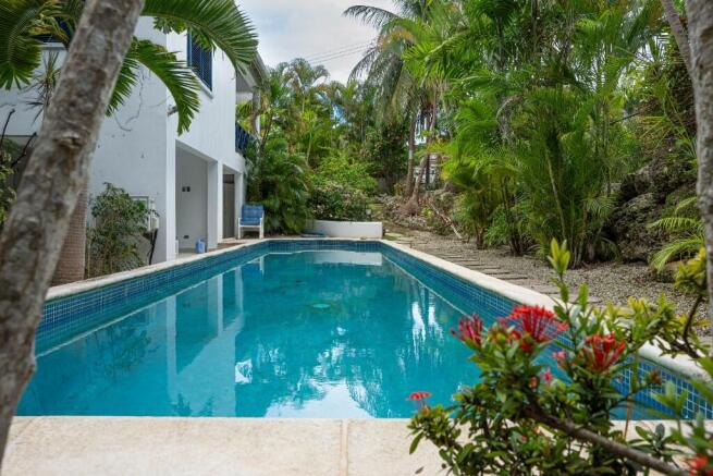 Sunset Blue, Halcyon