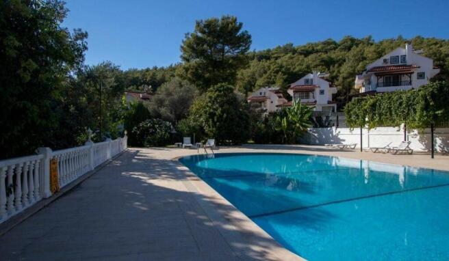 Communal Pool
