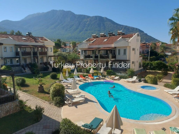 Mountain Backdrops