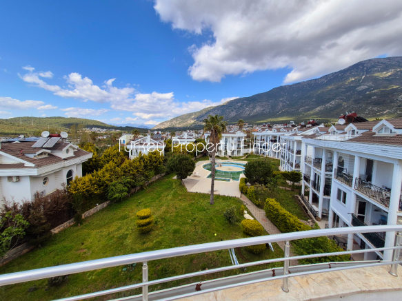 Mountain Views