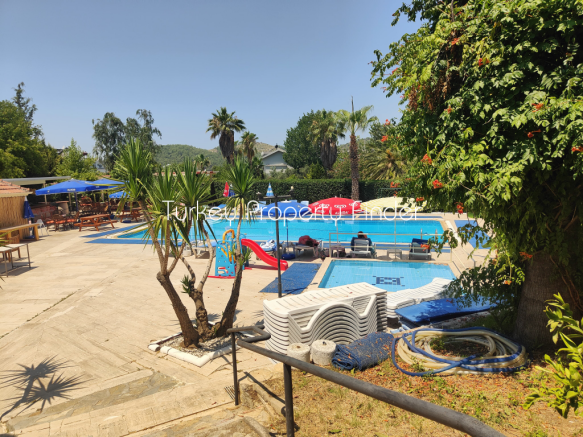 Communal Pool