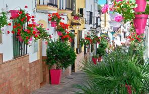 Photo of Andalucia, Malaga, Estepona