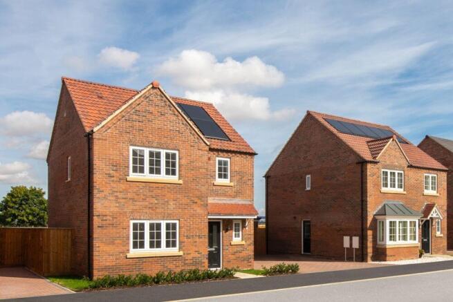 The Seaton Cygnet View