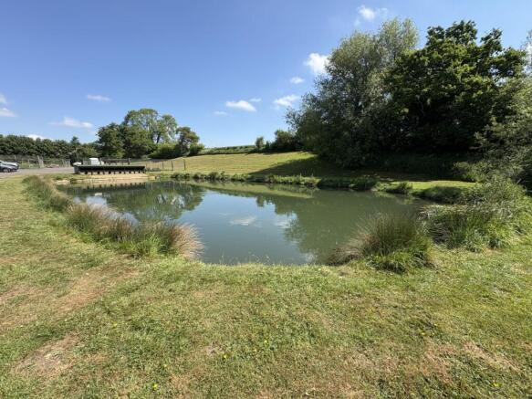 Fishing Pool