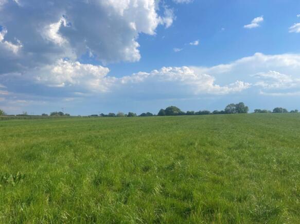 Lot 5