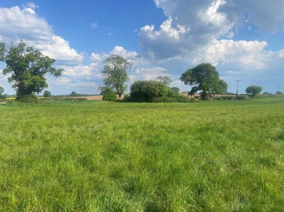 Lot 5