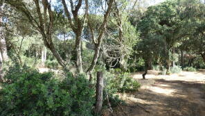 Photo of Andalucia, Cdiz, Vejer de la Frontera