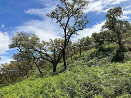 Photo of Baixo Alentejo, Odemira