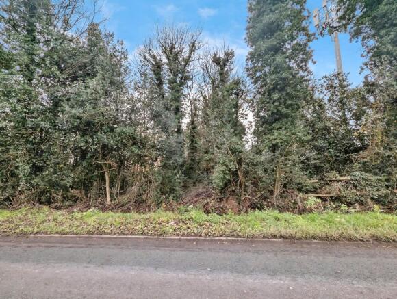 4 T202512161406.jpeg