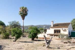 Photo of Valencia, Alicante, Pedreguer