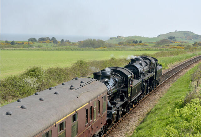 Local Steam train