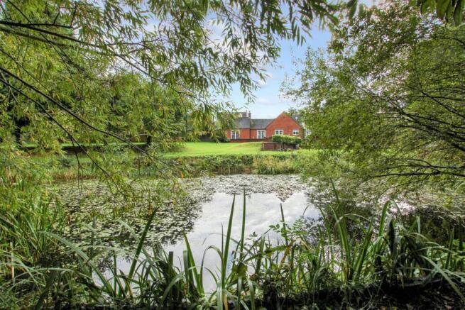 garton lead image .jpeg