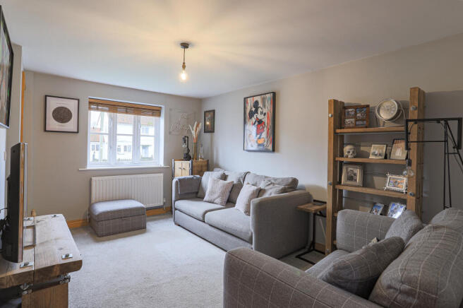Image-13.JPG