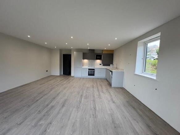 Kitchen/dining/living area