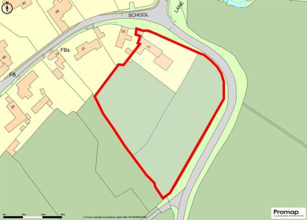 Promap-3099547-3197225.jpg