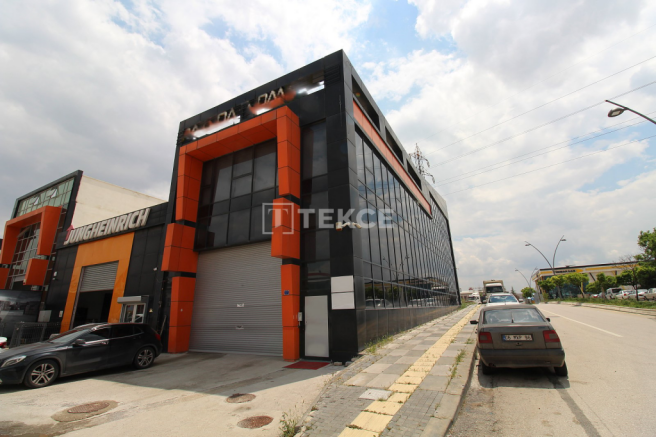 Photo 3