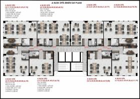 Floor/Site plan 1