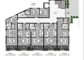 Floor/Site plan 1