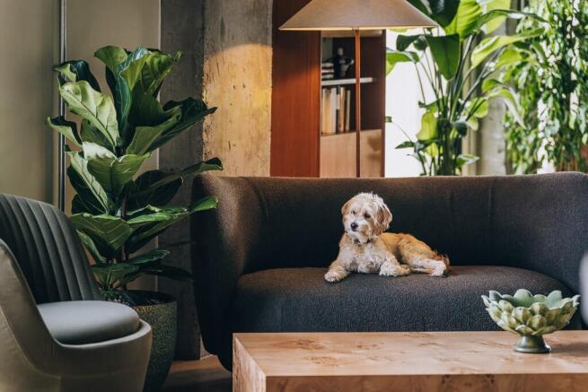 Resident Lounge