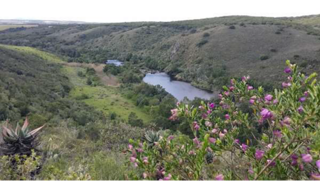 Magnificent views