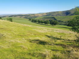 Photo of Western Cape, Riversdale