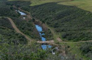 Photo of Western Cape, Albertinia