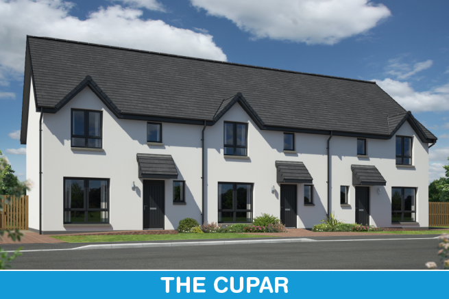 The Cupar