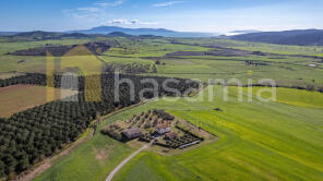 DJI_0101-HDR.JPG