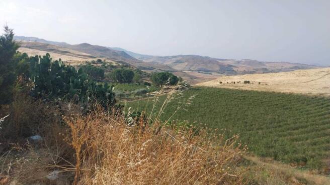 ff-cd493e828b2ddea70