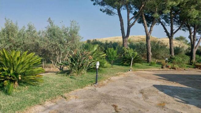 ff-a866f3e0cc155c84d