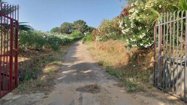 ff-801e7cf5112062538