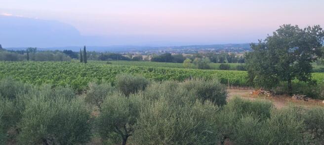 ff-d6f16b76307d63389