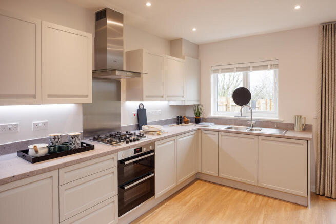 CP_Tors_SH_161223_16