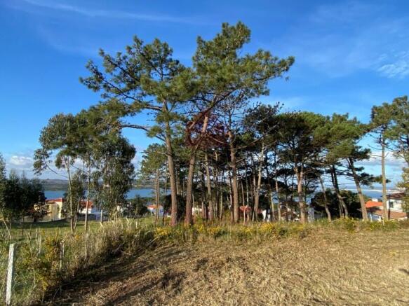 Plot in Obidos Lagoon