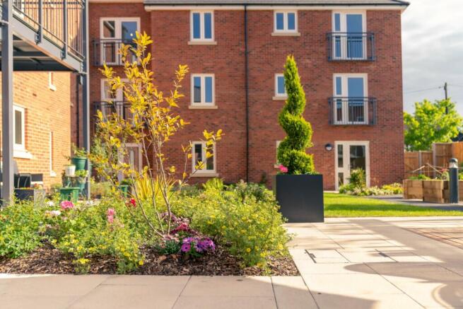 Shared gardens  