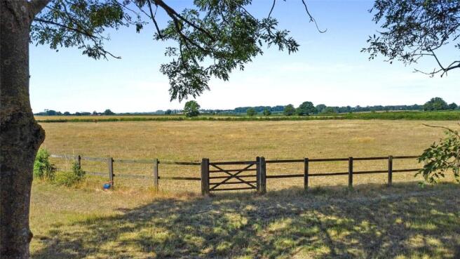 Paddock Land
