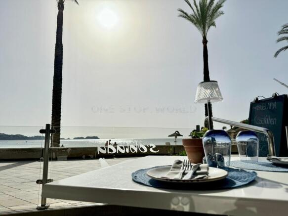 WhatsApp Image 2024-11-21 at 11.54.08