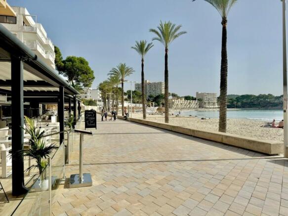 WhatsApp Image 2024-11-21 at 11.54.04 (1)