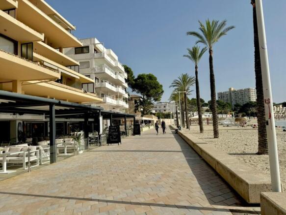 WhatsApp Image 2024-11-21 at 11.54.07 (1)