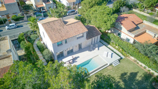 ONE_STOP_SANTA_PONSAI_20581