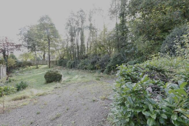 Plot (3)