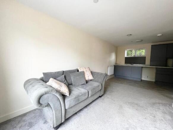living room new 1.jpg