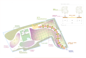 Floor/Site plan 2