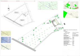 Floor/Site plan 1