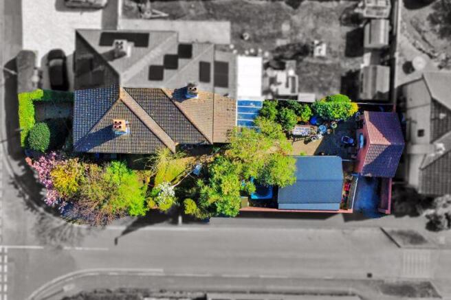 Plot View